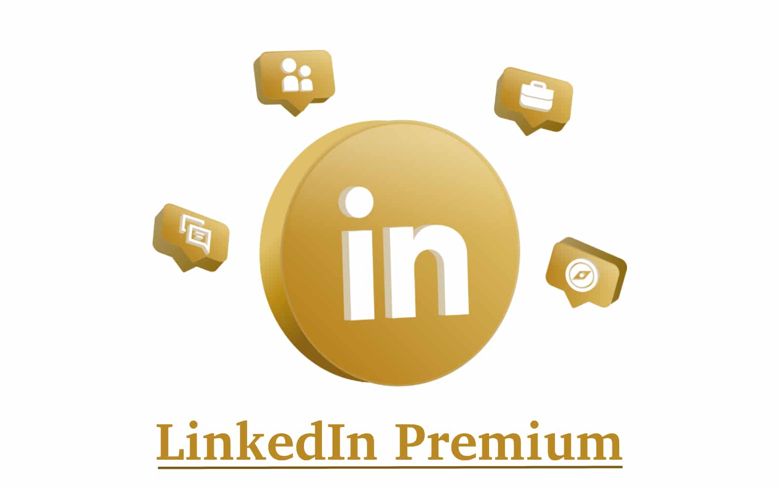 LinkedIn Marketing Agency For LinkedIn Advertising India