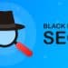 Black Hat SEO