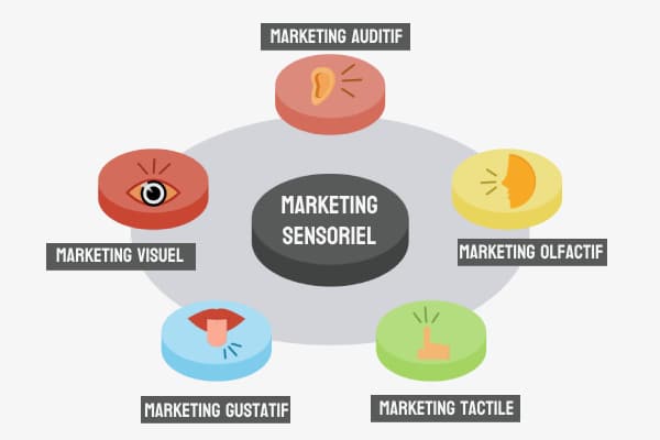 5 sens en éveil avec le marketing sensoriel